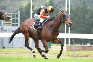 Rock On (NZ) Claims St Leger. Photo: Race Images, Palmerston North.